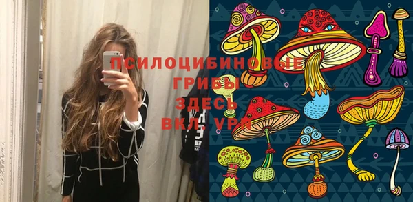 стафф Богданович