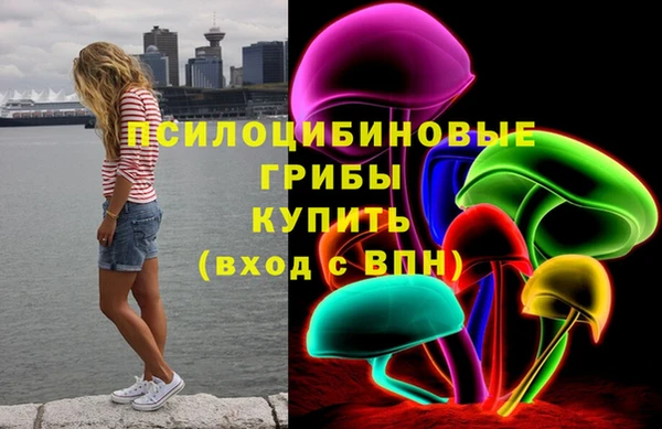 стафф Богданович