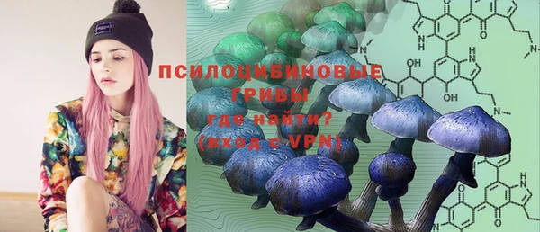 дурь Богородицк