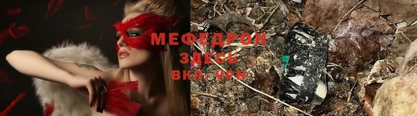 стафф Богданович