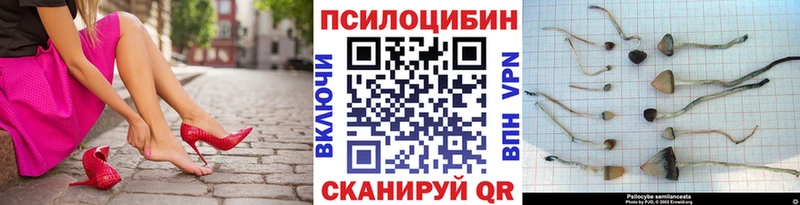 Псилоцибиновые грибы Psilocybine cubensis  что такое   Моршанск 